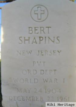 Bert Shapins