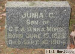 Junia Clarence Morse