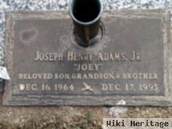 Joseph Henry Adams, Jr
