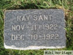 Ray Sant