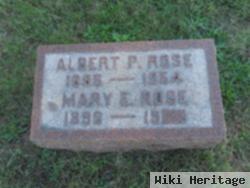 Albert Porch Rose