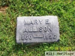 Mary Elizabeth Hoss Allison