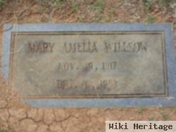 Mary Amelia Willson