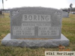 Mary Deldee Boring