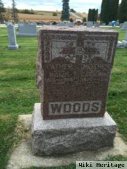 Moses Woods