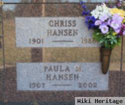 Paula M Hansen