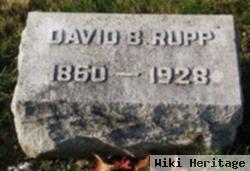 David B Rupp