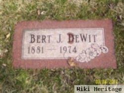 Bert Johannes Dewit