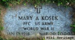 Mary A Kosek