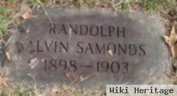 Alvin Samonds Randolph