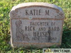 Katie M Heisey