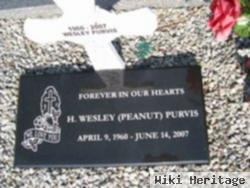 H Wesley "peanut" Purvis