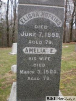 Amelia E. Hopkins