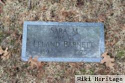 Sara M Barnett