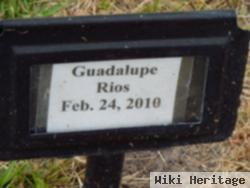 Guadalupe Rios