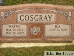 Wayne Gale Cosgray