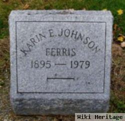 Karin E. Johnson Ferris