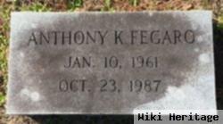 Anthony K Fegaro