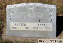 Andrew H Schuler