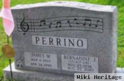 James M Perrino