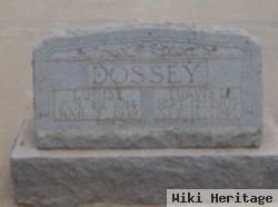 Mary Louise Therwhanger Dossey