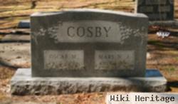 Mary N. J. Cosby