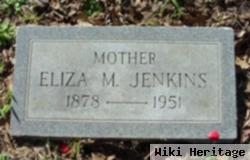 Eliza M Jenkins