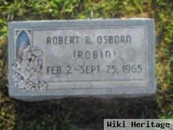 Robert Bruce Osborn