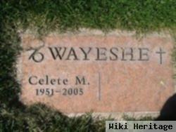 Celete M. Wayeshe