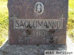 Anthony Saccomanno