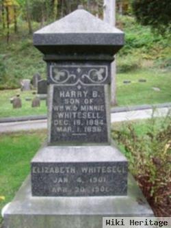 Harry B Whitesell