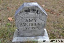 Amy E Smith Partridge