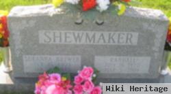 Sue Anna Brewer Shewmaker