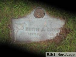 Nettie Ann Park Lubben