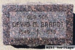 David Martin Brandt