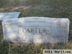 George W Carter, Jr