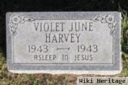 Violet June Harvey