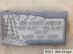 Levi Godfrey Johnson