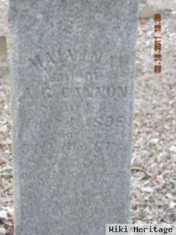 Malvina Payne Cannon