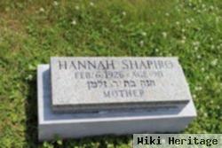 Hannah Shapiro