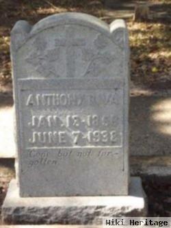 Anthony Riva