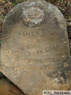 James W Chaney