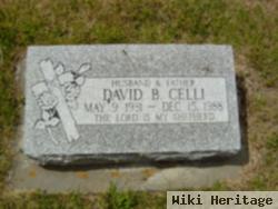 David B. Celli