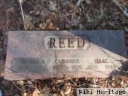 Catherine Scott Reed