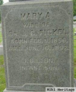 J Gilton Fickel