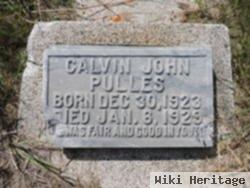 Calvin John Pulles