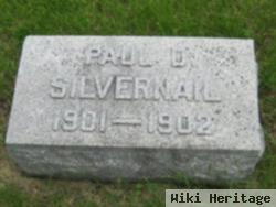 Paul Dudley Silvernail