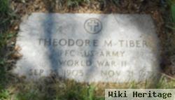 Theodore M Tiber