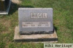 Charles Biegel