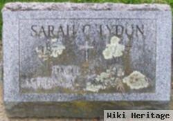 Sarah C Lydon